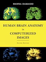 Télécharger le livre :  Human Brain Anatomy in Computerized Images