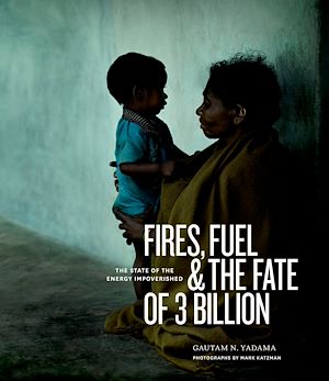 Téléchargez le livre :  Fires, Fuel, and the Fate of 3 Billion