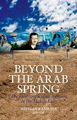 Télécharger le livre :  Beyond the Arab Spring