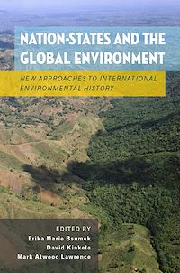 Téléchargez le livre :  Nation-States and the Global Environment