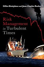 Télécharger le livre :  Risk Management in Turbulent Times