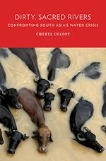 Télécharger le livre :  Dirty, Sacred Rivers