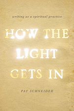 Download this eBook How the Light Gets In