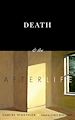 Télécharger le livre :  Death and the Afterlife