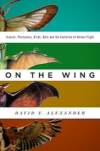 Téléchargez le livre :  On the Wing