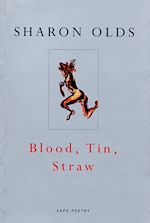 Télécharger le livre :  Blood, Tin, Straw