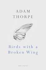 Télécharger le livre :  Birds With A Broken Wing