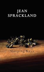Télécharger le livre :  Sleeping Keys