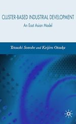 Télécharger le livre :  Cluster-Based Industrial Development