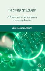 Télécharger le livre :  SME Cluster Development