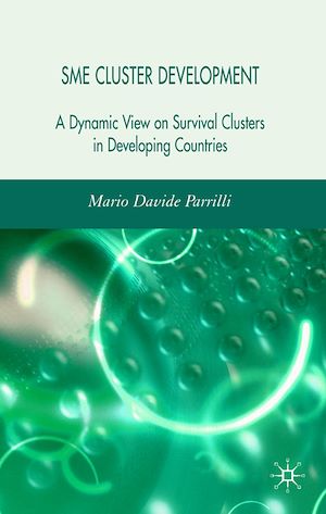 Téléchargez le livre :  SME Cluster Development
