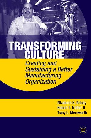 Téléchargez le livre :  Transforming Culture