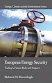 Télécharger le livre :  European Energy Security