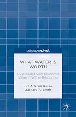 Télécharger le livre :  What Water Is Worth: Overlooked Non-Economic Value in Water Resources
