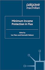 Télécharger le livre :  Minimum Income Protection in Flux