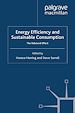Télécharger le livre :  Energy Efficiency and Sustainable Consumption