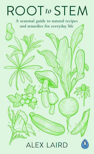 Download the eBook: Root to Stem