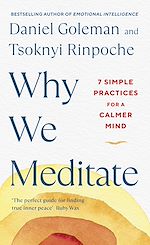 Download this eBook Why We Meditate