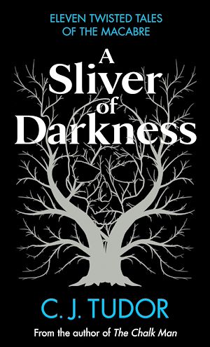Download the eBook: A Sliver of Darkness