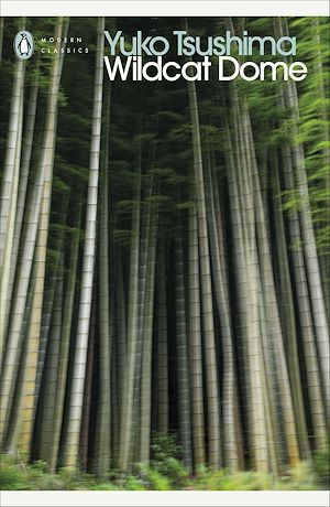 Téléchargez le livre :  Wildcat Dome