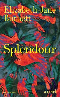 Download this ebook Splendour