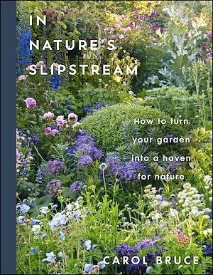Téléchargez le livre :  In Nature's Slipstream
