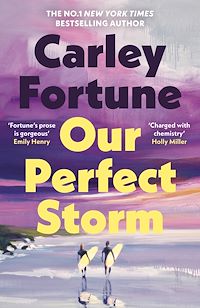 Download this ebook Our Perfect Storm