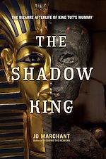 Télécharger le livre :  The Shadow King
