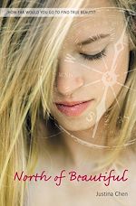 Télécharger le livre :  North of Beautiful