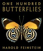 Download this eBook One Hundred Butterflies