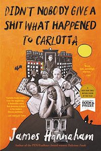 Téléchargez le livre :  Didn't Nobody Give a Shit What Happened to Carlotta