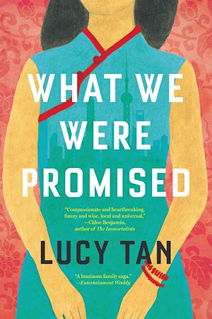 Téléchargez le livre :  What We Were Promised