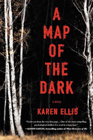 Téléchargez le livre :  A Map of the Dark