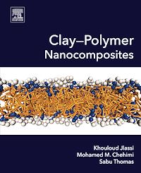 Téléchargez le livre :  Clay-Polymer Nanocomposites