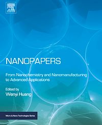Téléchargez le livre :  Nanopapers