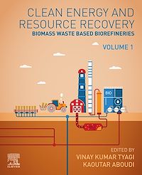 Téléchargez le livre :  Clean Energy and Resources Recovery