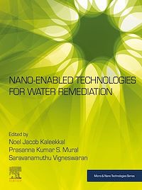 Téléchargez le livre :  Nano-Enabled Technologies for Water Remediation