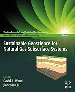 Télécharger le livre :  Sustainable Geoscience for Natural Gas SubSurface Systems