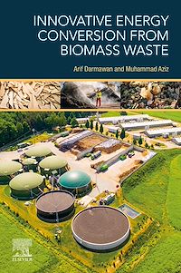 Téléchargez le livre :  Innovative Energy Conversion from Biomass Waste