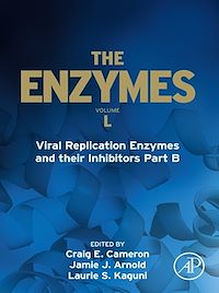 Téléchargez le livre :  Viral Replication Enzymes and their Inhibitors Part B