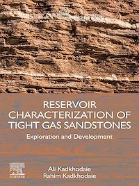 Téléchargez le livre :  Reservoir Characterization of Tight Gas Sandstones