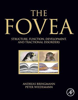 Téléchargez le livre :  The Fovea