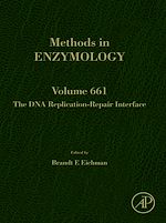 Télécharger le livre :  The DNA Replication-Repair Interface