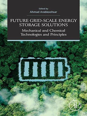 Téléchargez le livre :  Future Grid-Scale Energy Storage Solutions