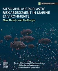 Téléchargez le livre :  Meso and Microplastic Risk Assessment in Marine Environments