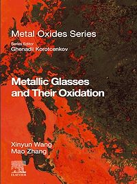 Téléchargez le livre :  Metallic Glasses and Their Oxidation