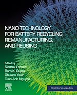 Télécharger le livre :  Nano Technology for Battery Recycling, Remanufacturing, and Reusing