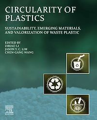 Téléchargez le livre :  Circularity of Plastics