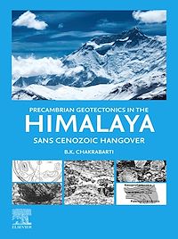 Téléchargez le livre :  Precambrian Geotectonics in the Himalaya