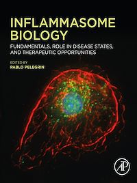 Téléchargez le livre :  Inflammasome Biology